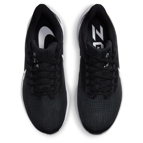 Nike Pegasus 39